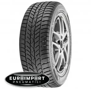 Hankook WINTER I-CEPT RS W442 155/65 R13 73 T  TL